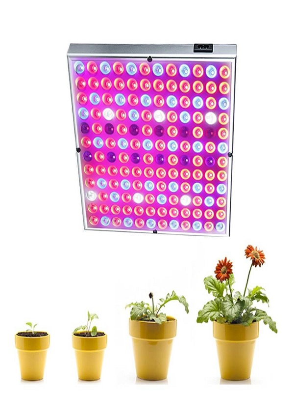 2 điều cơ bản khi chọn đèn LED để trồng cây