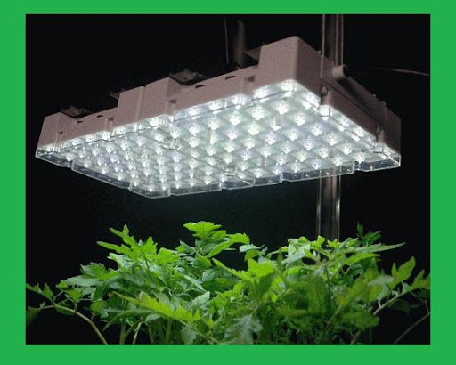 Đèn led trồng cây – Đèn chiếu sáng cho cây trồng trong nhà